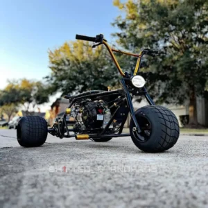 Golden Retriever black and gold drift trike front three-quarter view on street